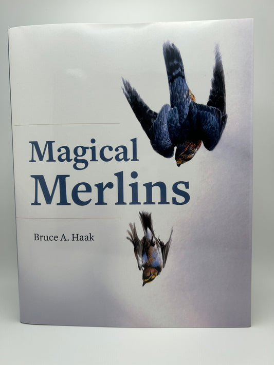 Magical Merlins