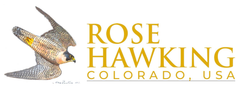 rosehawking.com