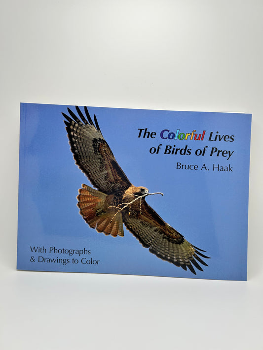 The Colorful Lives Of Birds Of Prey
